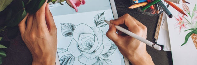 How to Draw on an iPad Pro: A Complete Guide for Beginners