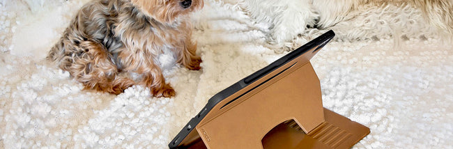 The Best Protective Case for Your Ipad